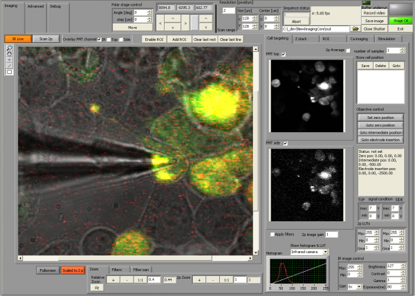 Two photon imaging